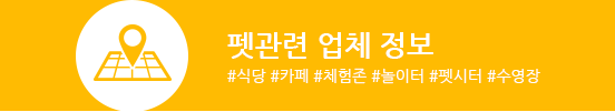 펫관련 업체 정보